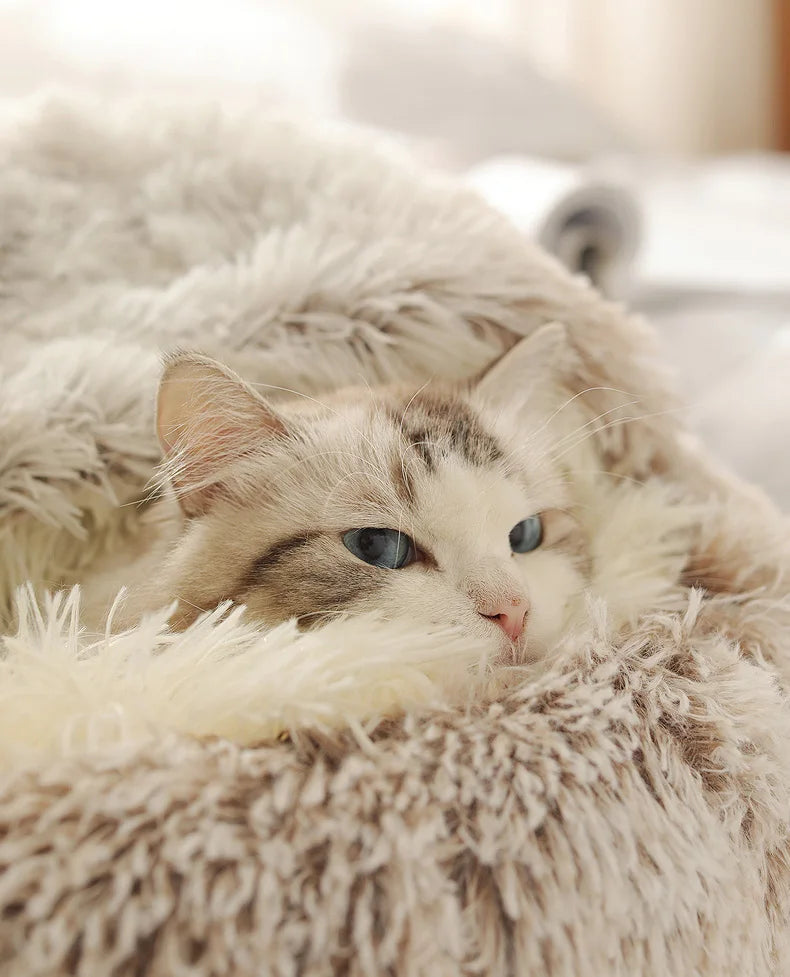 Winter Cat Bed Round Plush Warm Soft Pet Bed for Cat Soft Long Plush Mat For Small Dogs Puppy Sleeping bag Cats Nest - Your Healthy Version