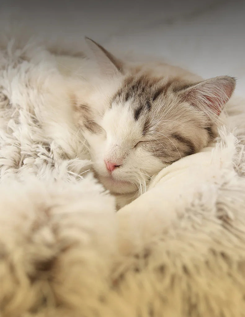 Winter Cat Bed Round Plush Warm Soft Pet Bed for Cat Soft Long Plush Mat For Small Dogs Puppy Sleeping bag Cats Nest - Your Healthy Version