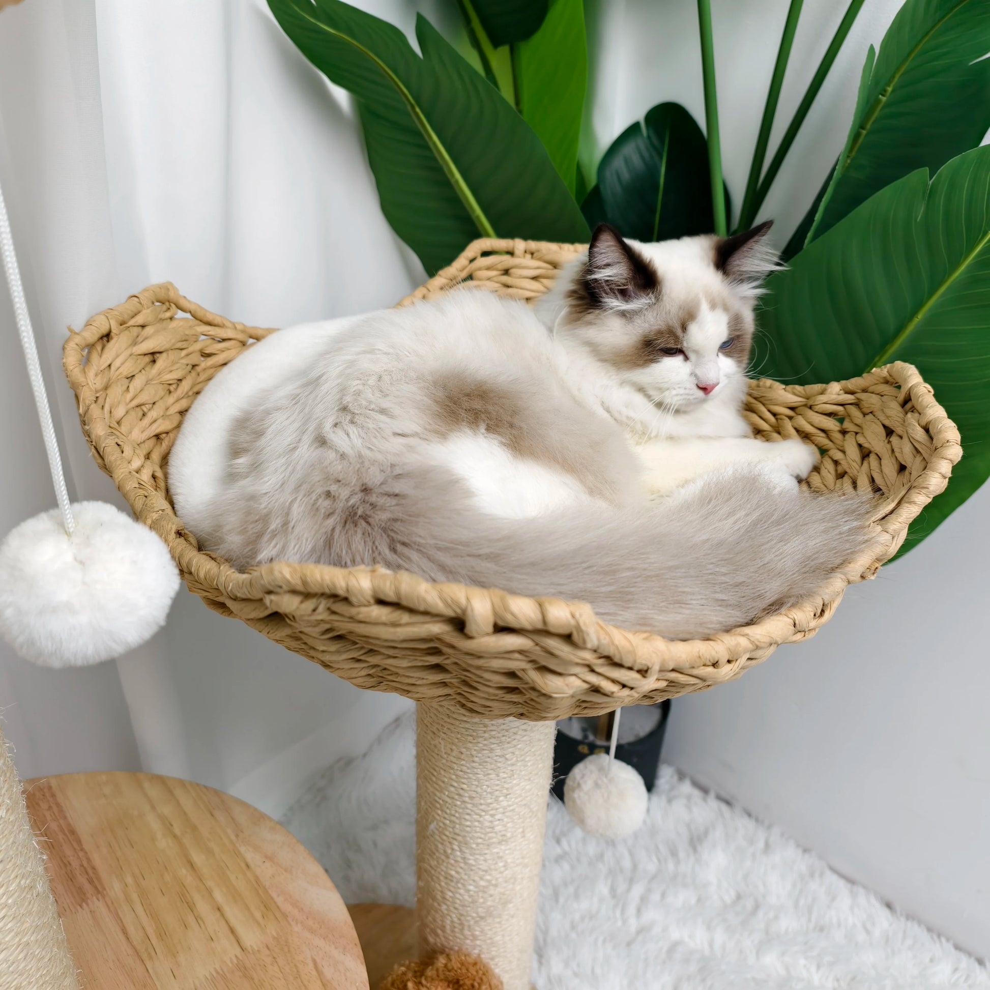 3-Tier Cat Tree Padded Plush Napping Perches Kitten Condo Sisal Rope Scratching Posts and Hanging Toy Tower for Indoor Kitties - Your Healthy Version