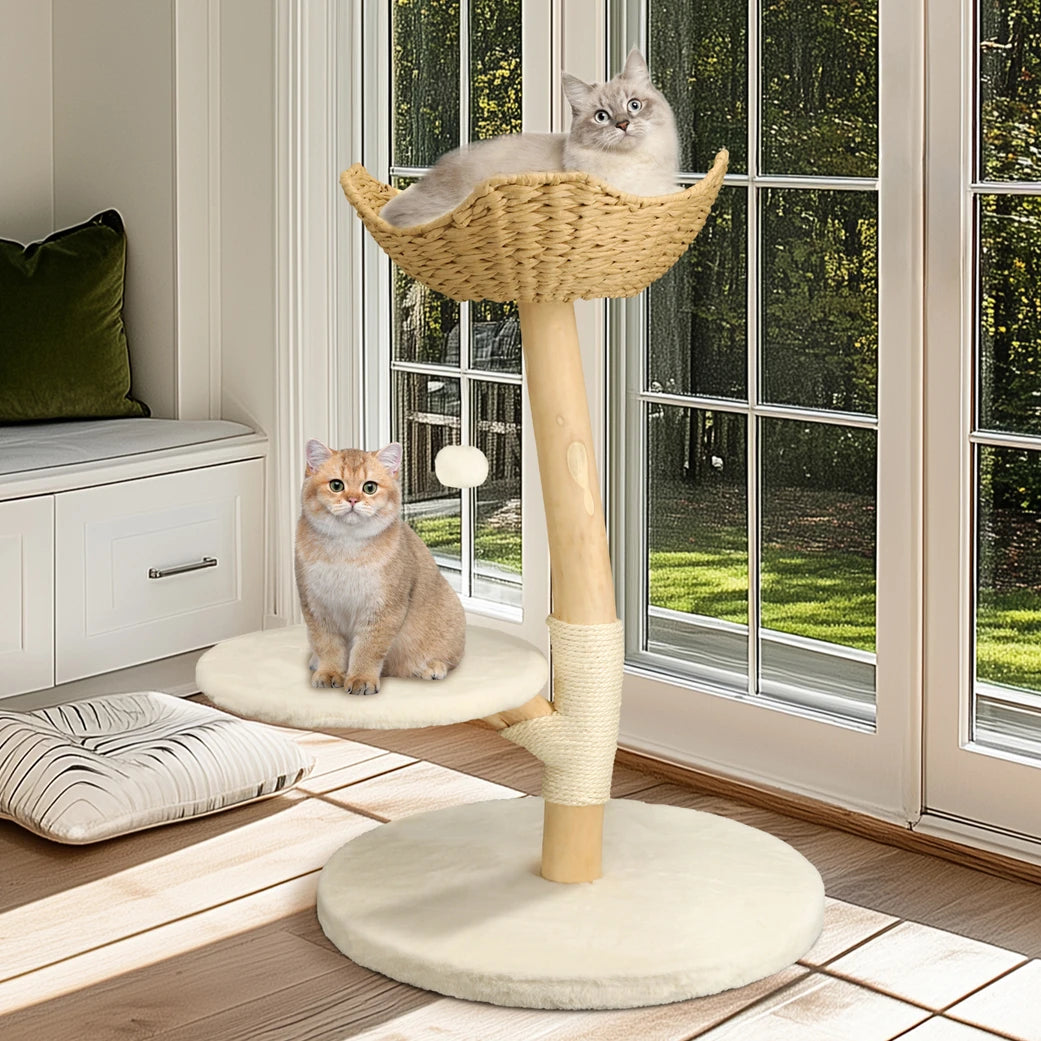 Heavy Duty Wooden Cat Tree Tower Scratching Post Branches Plush Cushion Perches Condo and Dangling Ball for Cats Play and Sleep - Your Healthy Version