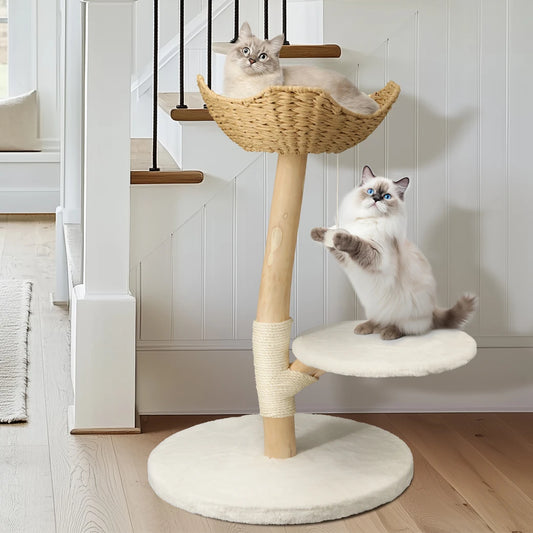 Heavy Duty Wooden Cat Tree Tower Scratching Post Branches Plush Cushion Perches Condo and Dangling Ball for Cats Play and Sleep - Your Healthy Version