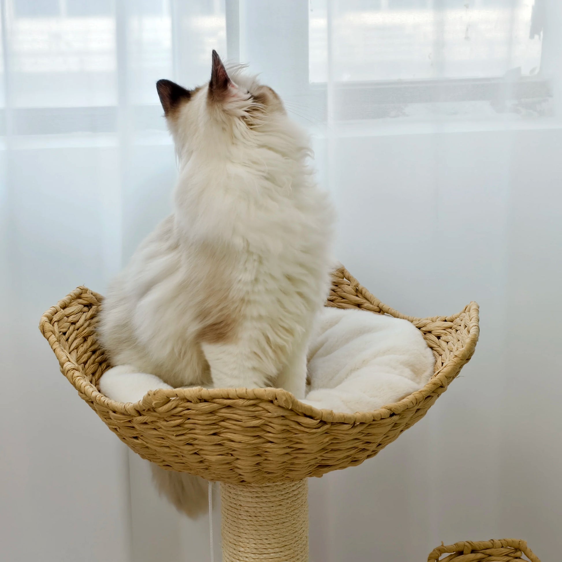 3-Tier Cat Tree Padded Plush Napping Perches Kitten Condo Sisal Rope Scratching Posts and Hanging Toy Tower for Indoor Kitties - Your Healthy Version