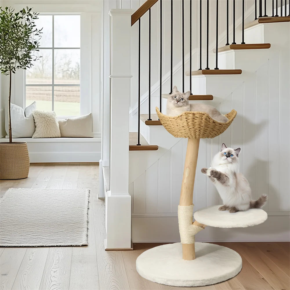 Heavy Duty Wooden Cat Tree Tower Scratching Post Branches Plush Cushion Perches Condo and Dangling Ball for Cats Play and Sleep - Your Healthy Version