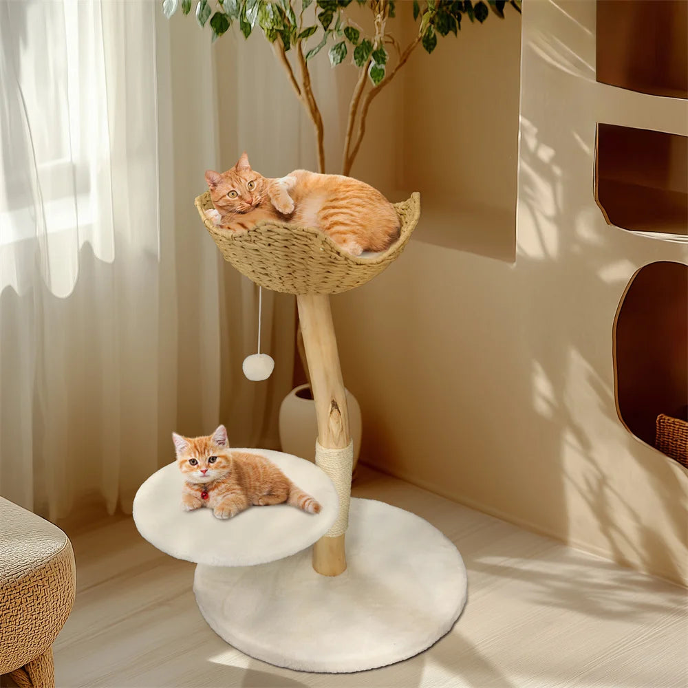 Heavy Duty Wooden Cat Tree Tower Scratching Post Branches Plush Cushion Perches Condo and Dangling Ball for Cats Play and Sleep - Your Healthy Version