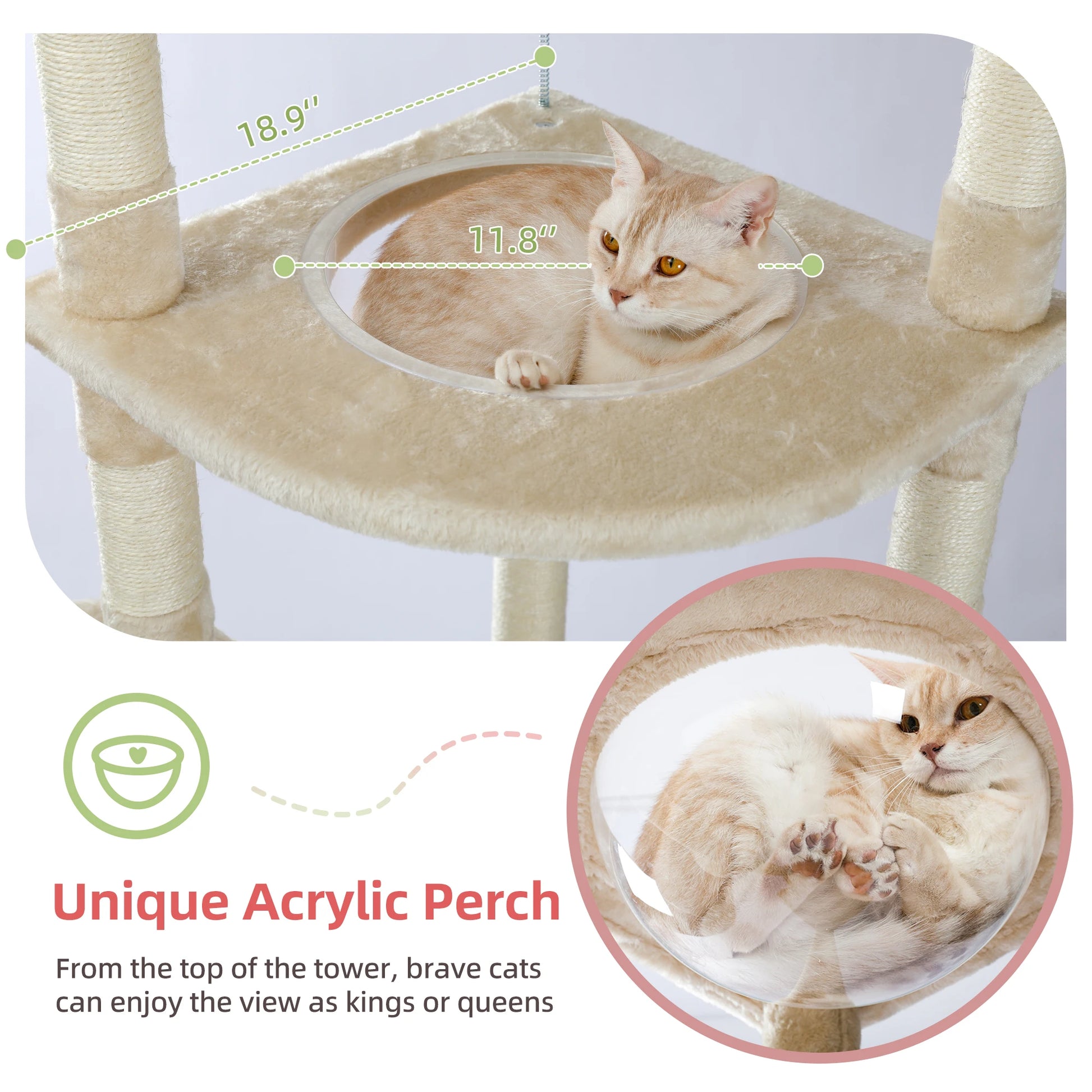 Floor to Ceiling Cat Tree Adjustable Cat Tower Tall Kitty Climbing Play House with Scratching Posts Cozy Condo Perches Hammock - Your Healthy Version