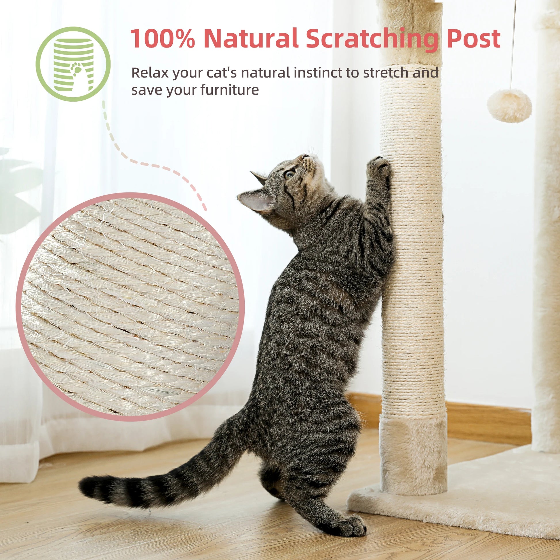 Floor to Ceiling Cat Tree Adjustable Cat Tower Tall Kitty Climbing Play House with Scratching Posts Cozy Condo Perches Hammock - Your Healthy Version