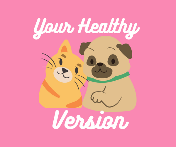 Your Healthy Version