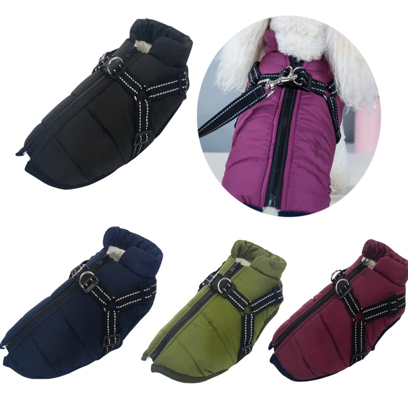 Pet Clothes Winter Warm Jacket with Harness Puppy Outdoor Walk Adjustable Chest Strap Dog Cloth Vest Winter Clothing - Your Healthy Version