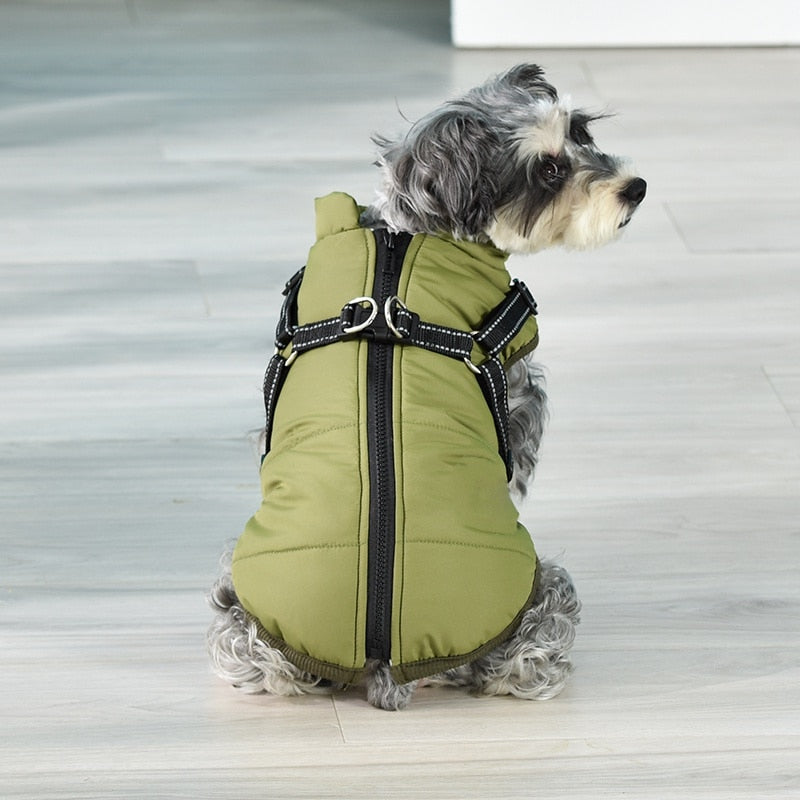 Pet Clothes Winter Warm Jacket with Harness Puppy Outdoor Walk Adjustable Chest Strap Dog Cloth Vest Winter Clothing - Your Healthy Version