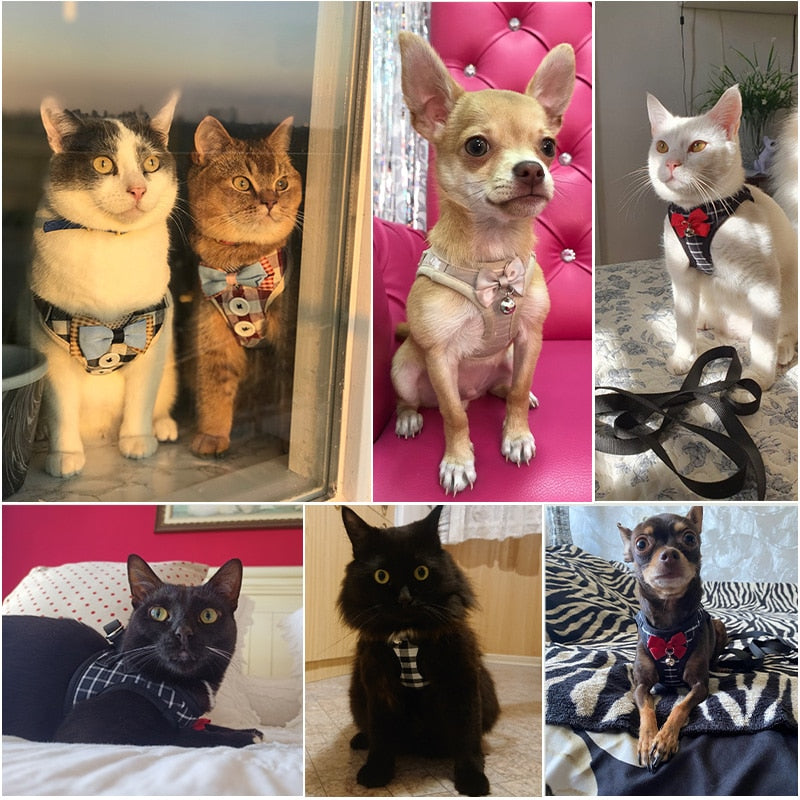 Adjustable Cat Harness Breathable Mesh Kitten Harness Leash Set With Bell Bowknot Pet Harness For Cat Dog Puppy Cat Accessories - Your Healthy Version