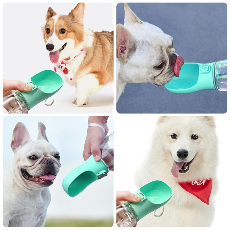 Portable Dog Water Bottle For Small Large Dogs Bowl Outdoor Walking Puppy Pet Travel Water Bottle Cat Drinking Bowl Dog Supplies - Your Healthy Version