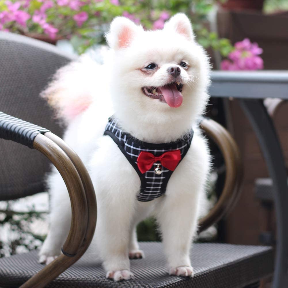 Adjustable Cat Harness Breathable Mesh Kitten Harness Leash Set With Bell Bowknot Pet Harness For Cat Dog Puppy Cat Accessories - Your Healthy Version