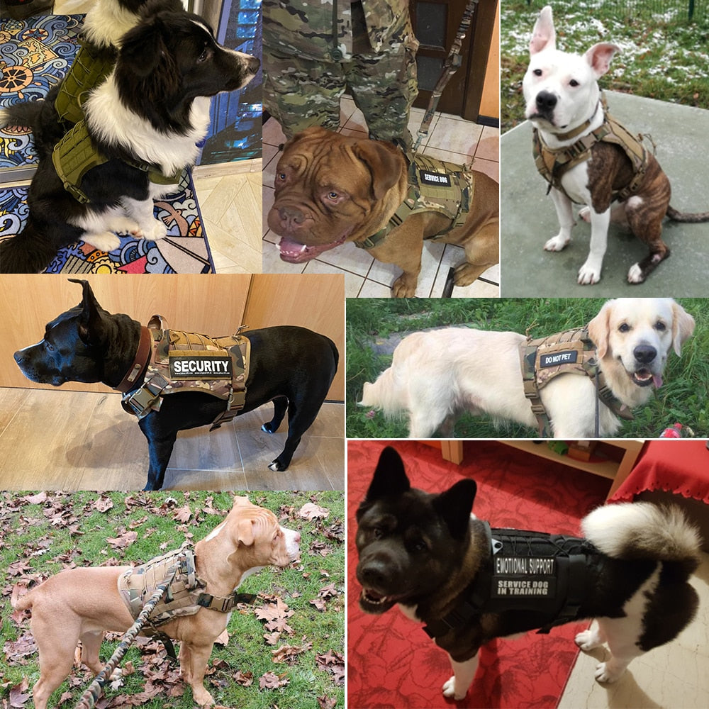 Tactical Dog Harness Pet Training Vest Dog Harness And Leash Set For Small Medium Big Dogs - Your Healthy Version