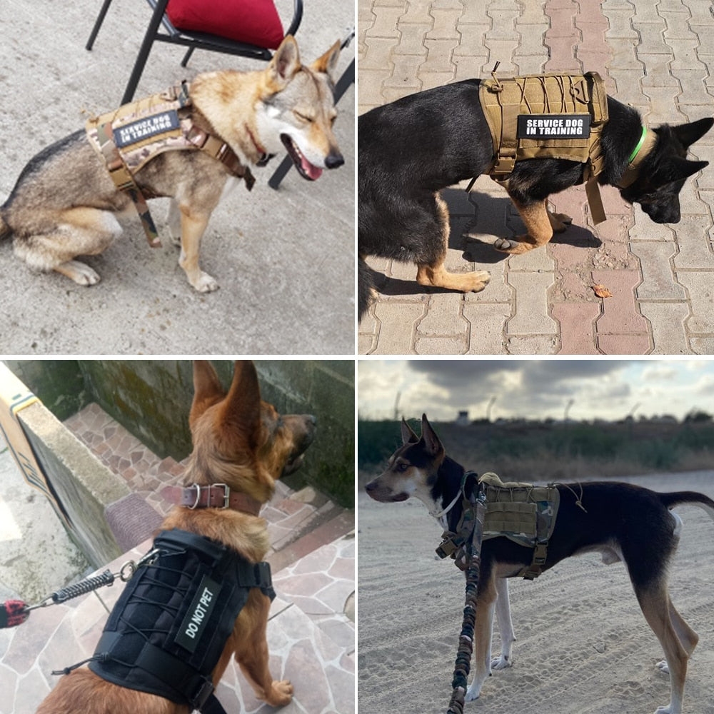 Tactical Dog Harness Pet Training Vest Dog Harness And Leash Set For Small Medium Big Dogs - Your Healthy Version