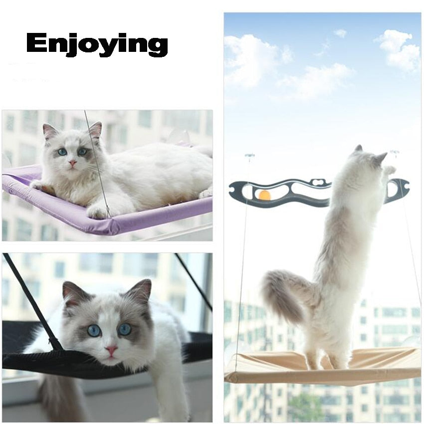 Pet Hanging Beds Cute Cat Hammock Sunny Seat Window Mount Pet Comfortable Pet Bed For Cats Mat Shelf Seat Bed Bearing 20kg - Your Healthy Version
