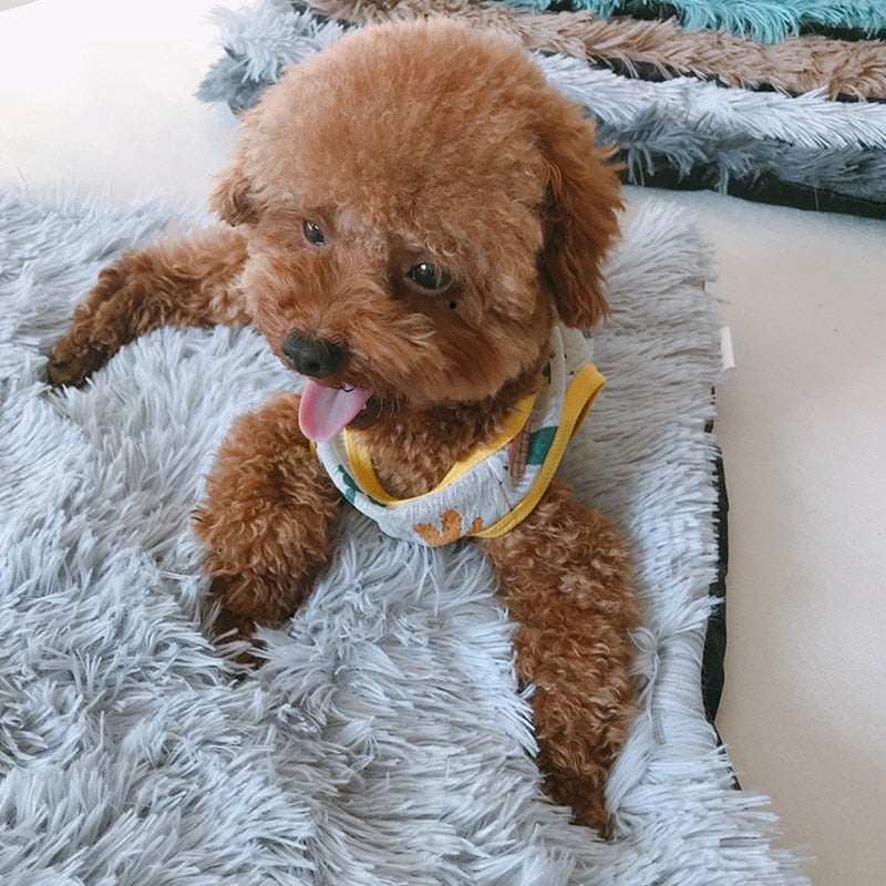 Pet Dog Mat Cat Bed House Fluffy Long Plush Pet Blankets Warm Sleeping Puppy Kennel Pad Cushion for Dogs Pet Accessories - Your Healthy Version