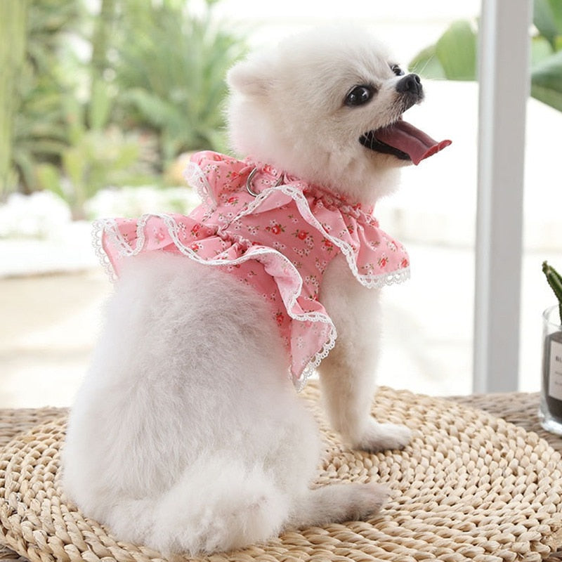 Dog Cat Harness Leash Set Adjustable Lace Floral Printed Pet Harness Vest Cute Dog Dress Pubby Mesh Harness Cat Walking Lead - Your Healthy Version