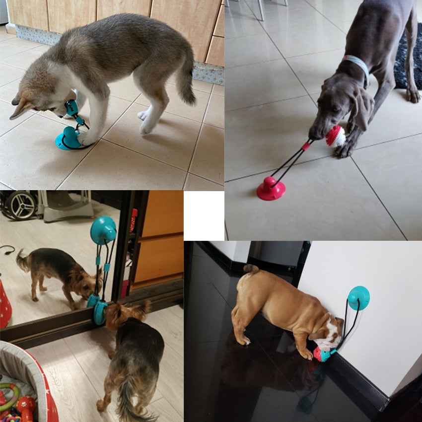 Dog Toys Silicon Suction Cup Tug Interactive Dog Ball Toy For Pet Chew Bite Tooth Cleaning Toothbrush Feeding Pet Supplies - Your Healthy Version