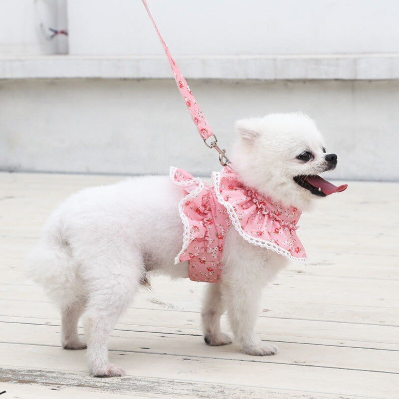 Dog Cat Harness Leash Set Adjustable Lace Floral Printed Pet Harness Vest Cute Dog Dress Pubby Mesh Harness Cat Walking Lead - Your Healthy Version