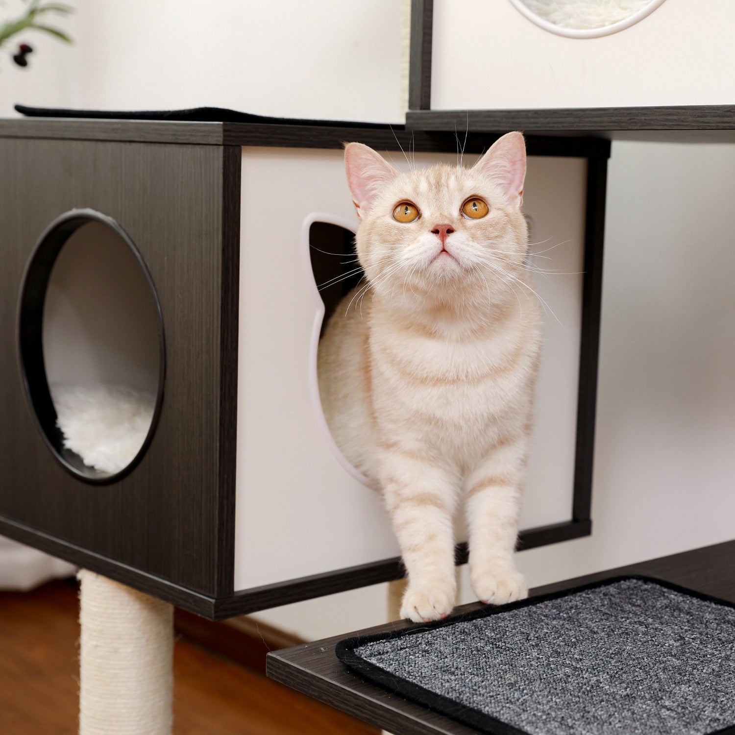 Luxury Cat Tree Condo Furniture Kitten Activity Tower Pet Kitty Play House with Scratching Posts Perches Hammoc - Your Healthy Version