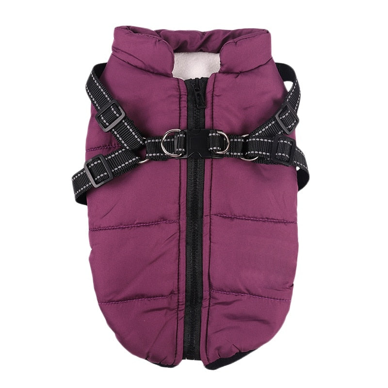 Pet Clothes Winter Warm Jacket with Harness Puppy Outdoor Walk Adjustable Chest Strap Dog Cloth Vest Winter Clothing - Your Healthy Version