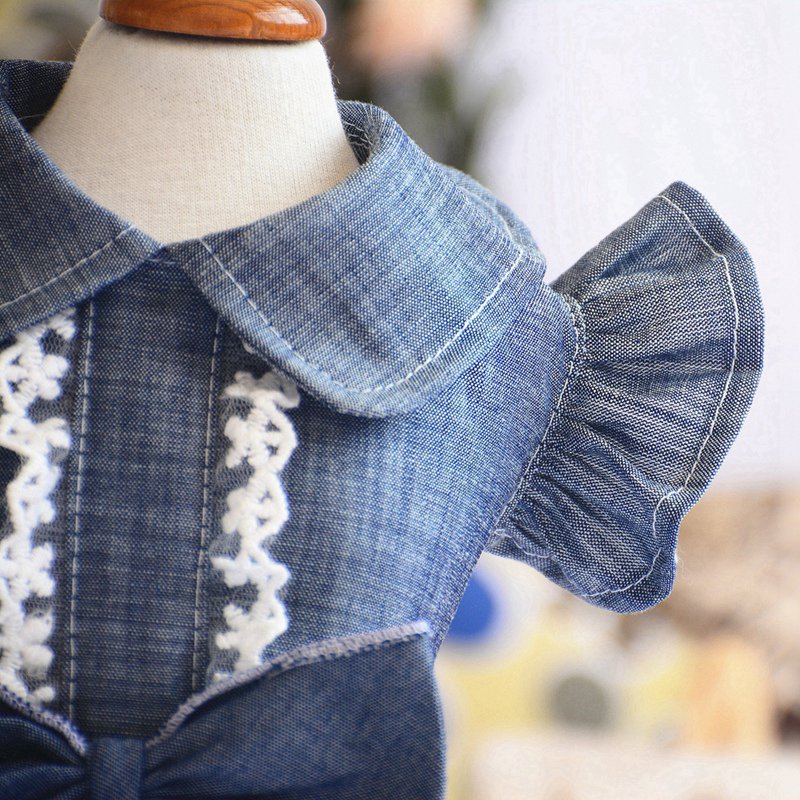 Spring Pet Dog Clothes Dog Denim Dress Jeans Skirt Small Dog Dress Puppy Clothes Chihuahua Yorkies Teddy Pet Clothing - Your Healthy Version
