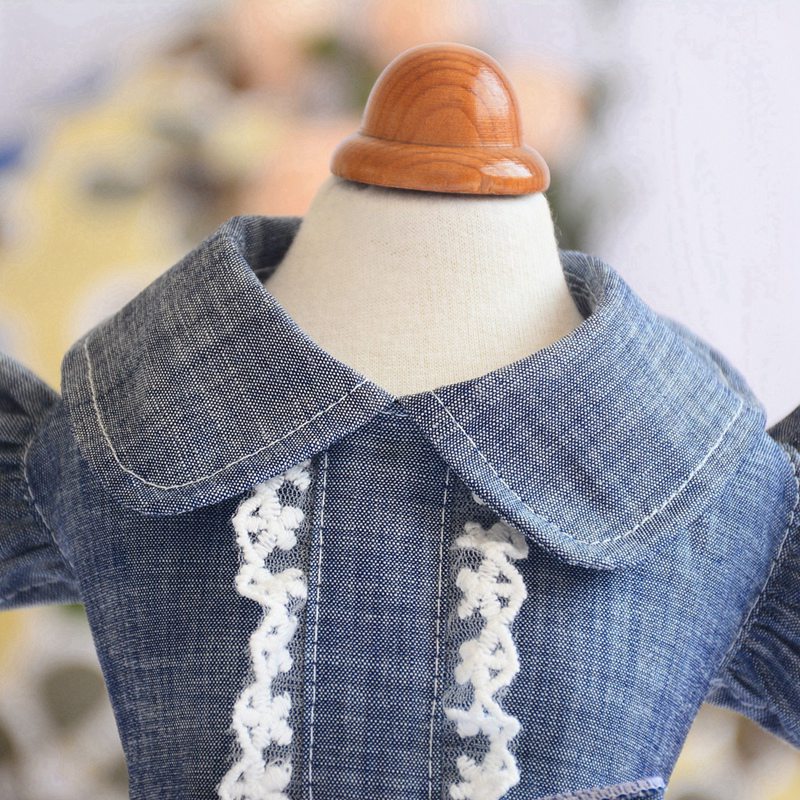 Spring Pet Dog Clothes Dog Denim Dress Jeans Skirt Small Dog Dress Puppy Clothes Chihuahua Yorkies Teddy Pet Clothing - Your Healthy Version