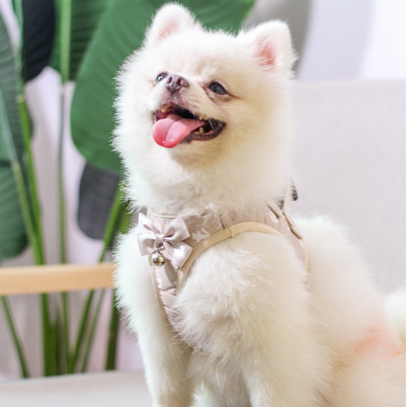Adjustable Cat Harness Breathable Mesh Kitten Harness Leash Set With Bell Bowknot Pet Harness For Cat Dog Puppy Cat Accessories - Your Healthy Version